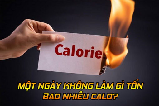 Một ngày không làm gì tốn bao nhiêu calo?