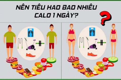 Nen tieu hao bao nhieu calo 1 ngay