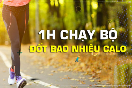 Chay bo 1 tieng dot bao nhieu calo