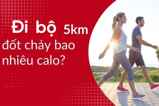 Di bo 5km dot bao nhieu calo