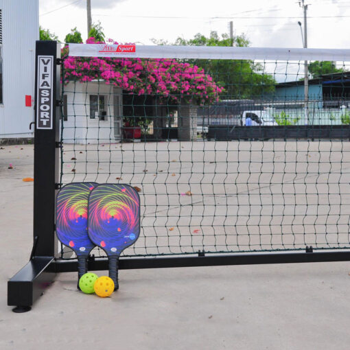 Tru pickleball vifa 303704P