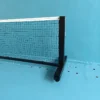 Tru pickleball vifasport 303704P