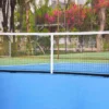 Tru pickleball Vifasport 303701P