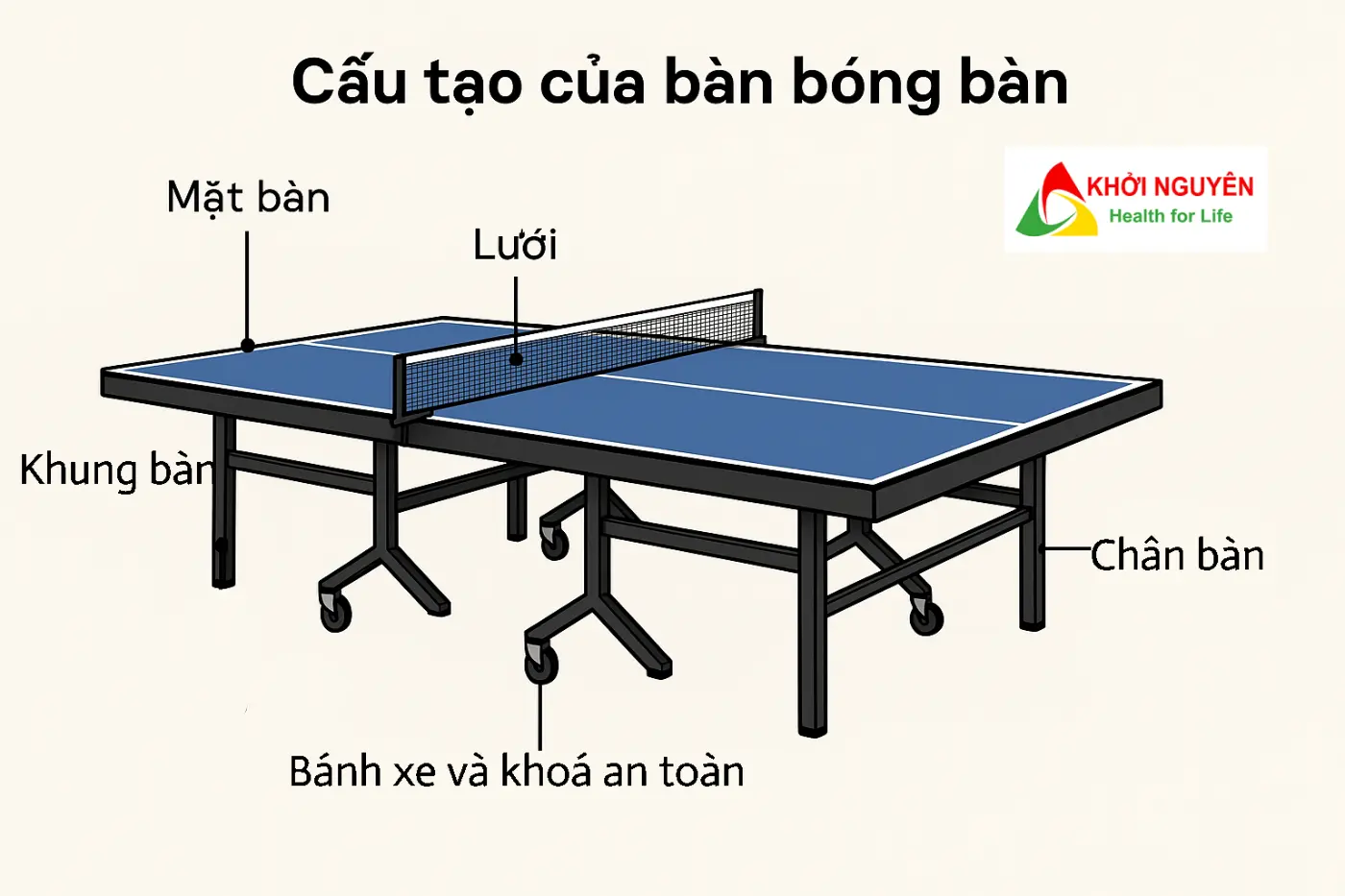 cấu tạo bàn bóng bàn tiêu chuẩn Khởi Nguyên