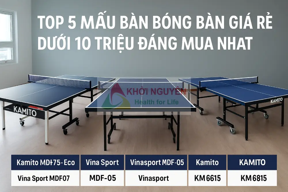 top 5 bàn bóng bàn dưới 10 triệu