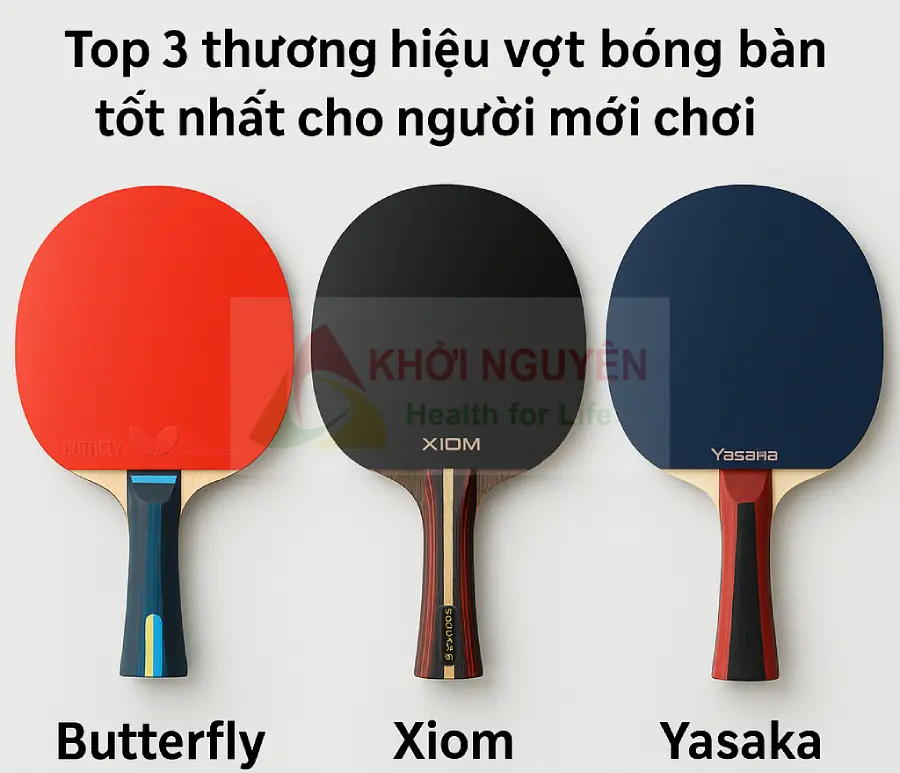 các thương hiệu vợt bóng bàn cho người mới chơi