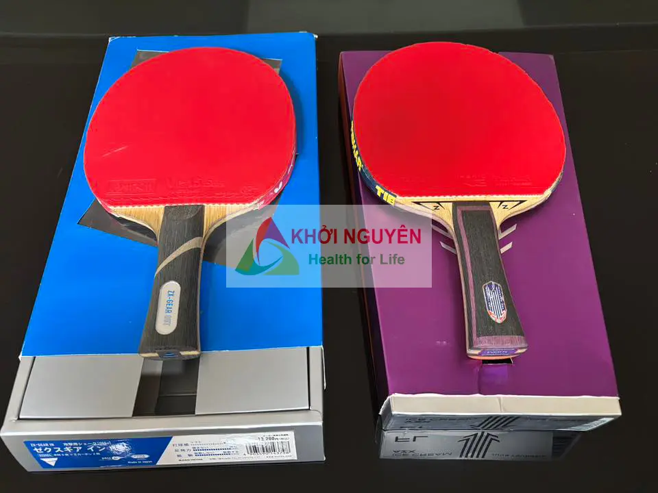 cách chọn vợt bóng bàn cho người mới