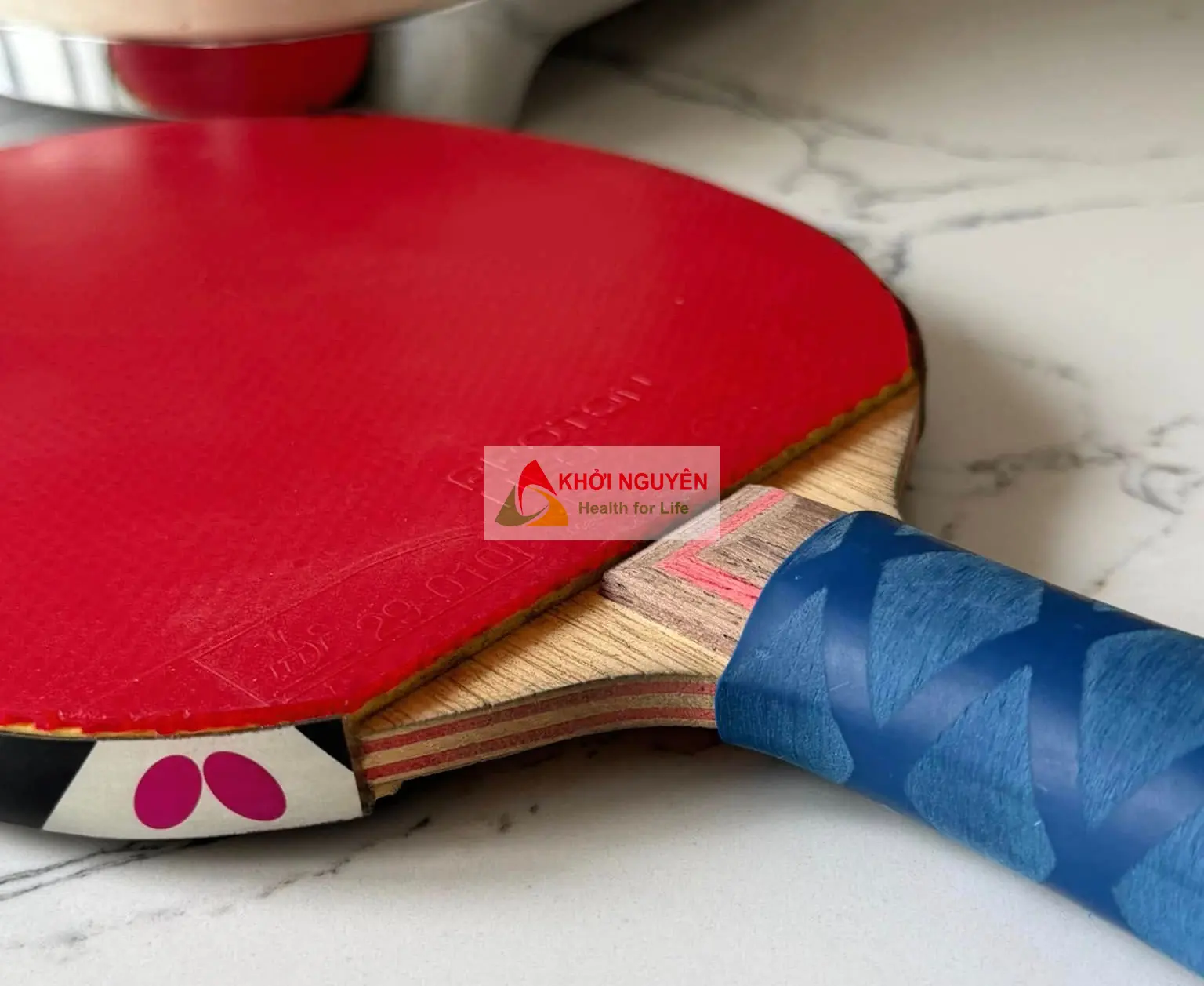 cách chọn vợt cho người đã biết chơi