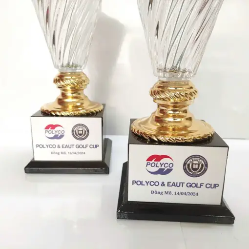 Chan de cup golf phale