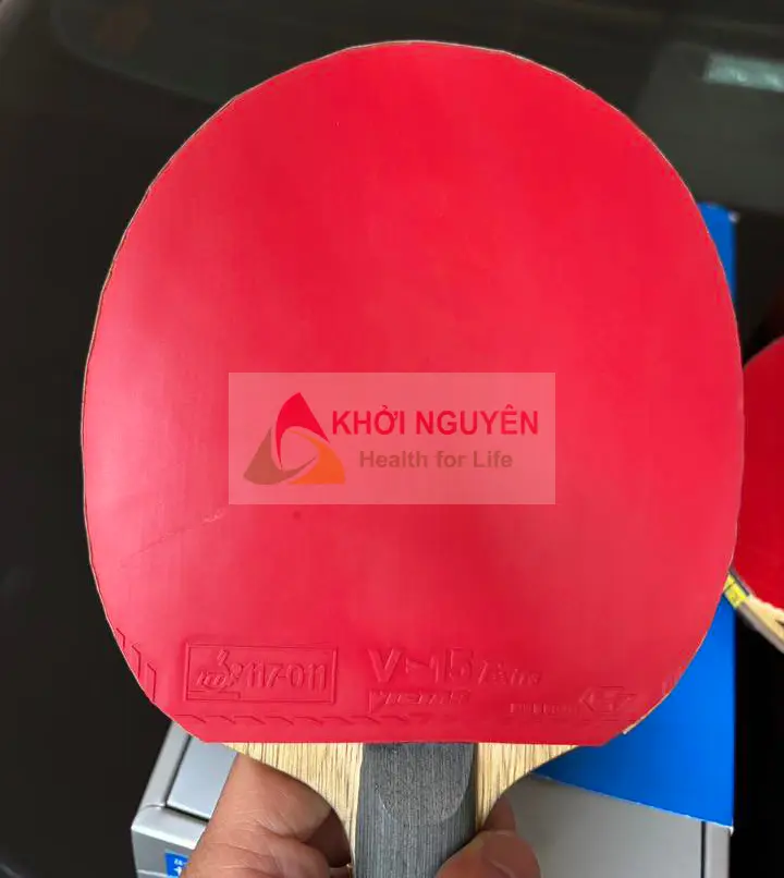 chọn vợt cho người mới chơi
