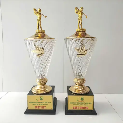 Cup giai golf phale dep