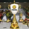Cup luu niem pickleball gia re