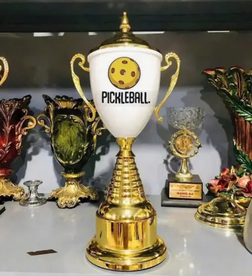 Cup luu niem pickleball gia re