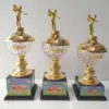 Cup pha le mon golf-tennis cao cap dep