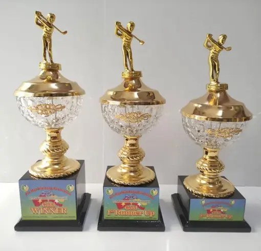 Cup pha le mon golf-tennis cao cap dep