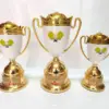 Cup Pickleball dep