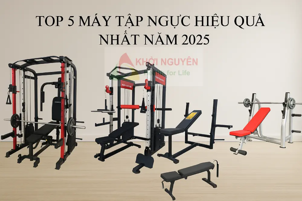 máy tập cơ ngực phổ biến và hiệu quả nhất năm 2025