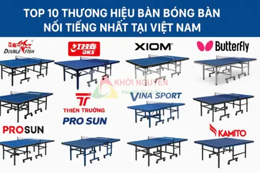 top 10 thương hiệu bàn bóng bàn nổi tiếng tại Việt Nam năm 2025