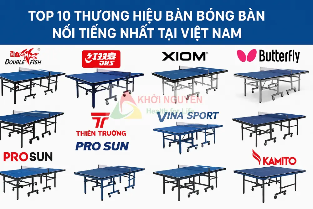 top 10 thương hiệu bàn bóng bàn nổi tiếng tại Việt Nam năm 2025